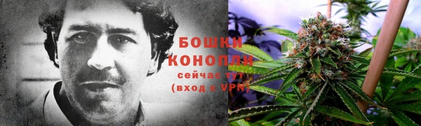 стаф Баксан