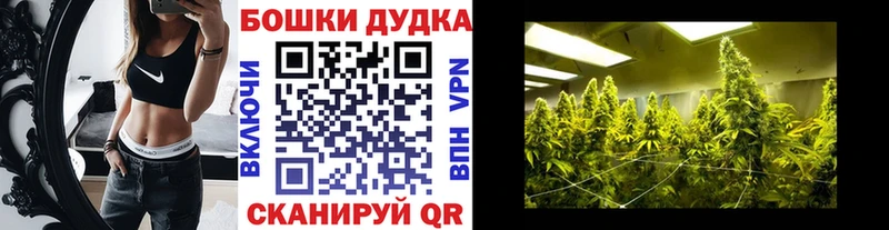 hydra маркетплейс  Льгов  Бошки марихуана индика 